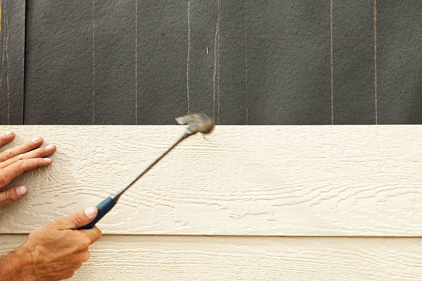 Siding Removal and Disposal in Salamatof, AK
